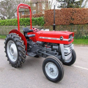 MF135