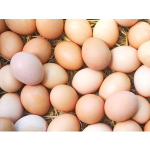 Eggs (White Yolk)