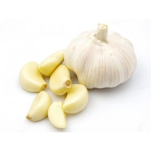 Chinese Garlic