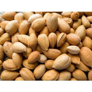 Casal Nuts (Open)
