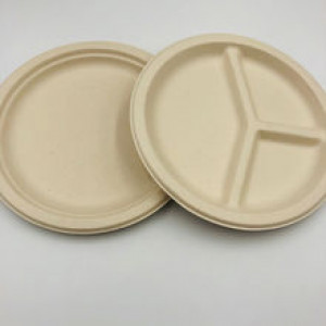 Y Compartment Disposable Tree Free Plates