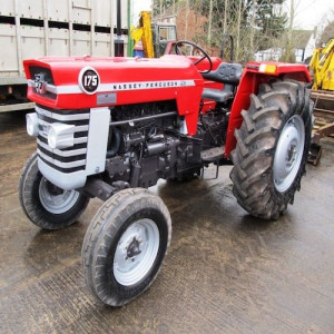 MF175